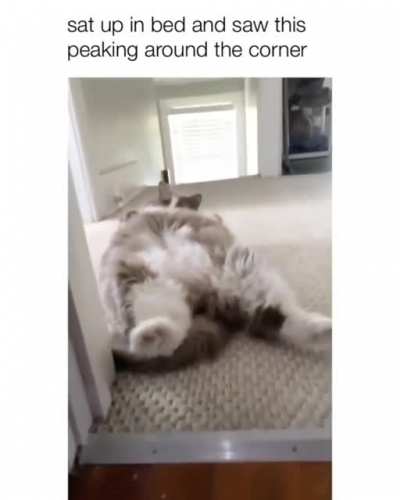 This belly ain't gonna rub itself ...