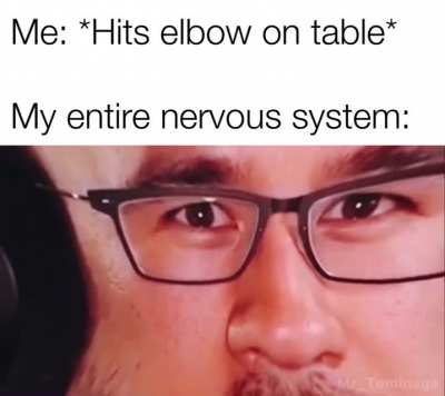 Me🧠irl