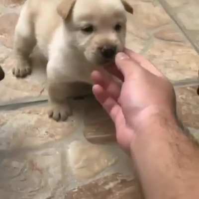 DEJEN DE ETIQUETAR A MATI EN LOS CLIPS DE IG, NO LO ASUSTEN MAS DE LO QUE ESTA PORFAVOR