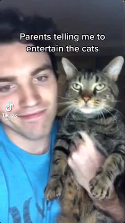 Poor Kitty