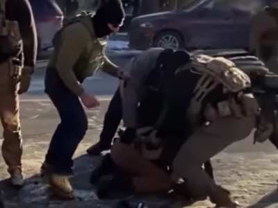 Here's a stabilized slow motion version. Best video yet.