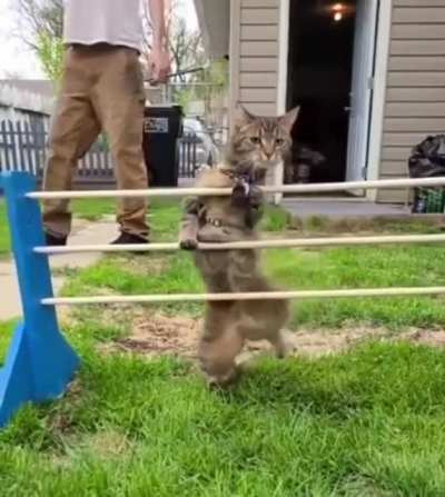Agility