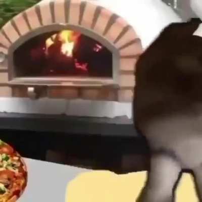 Gato pizzero 🐱🍕