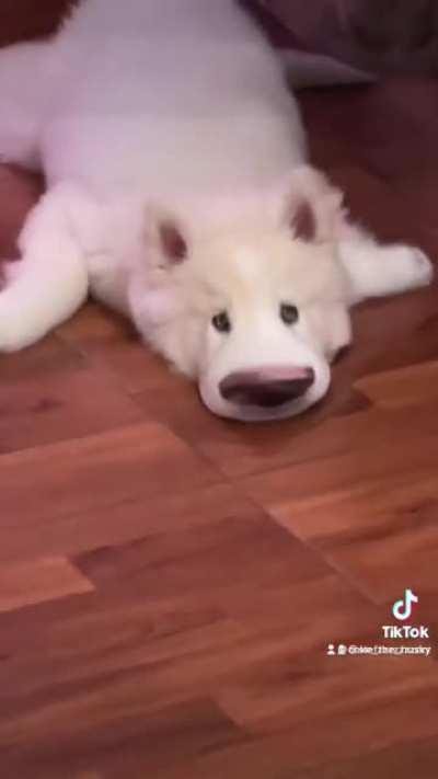 🤣