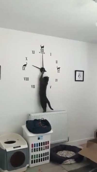 I needs to adjust the time, i'm hungry!