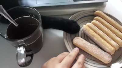 Touch Tha Biscuits
