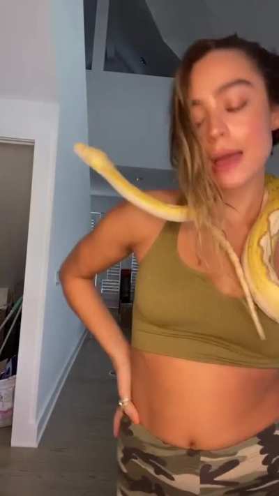 snake & shake