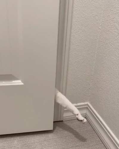 Making an entrance