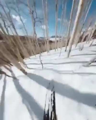 Crazy tree run
