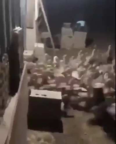 Ducks