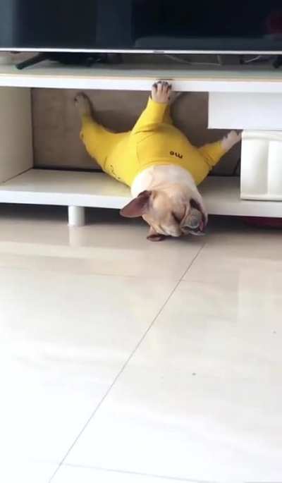 So comfy