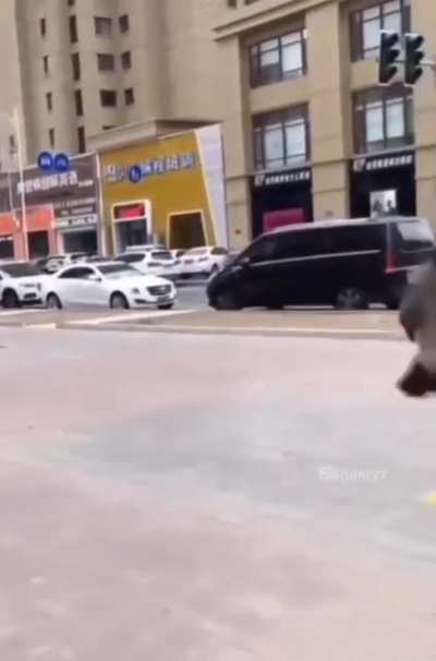 Птичка.
