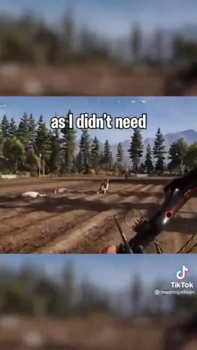 Hold your horses there, bud.
