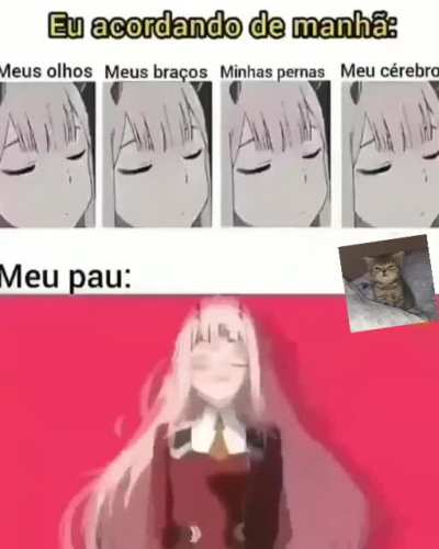 ja tá acordado o puto