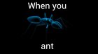 antsantsantsantsantsants