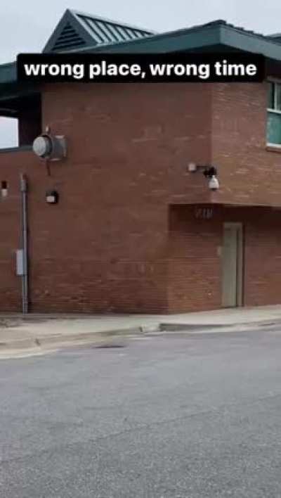WTF