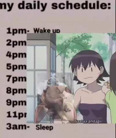 Osaker daily schedule