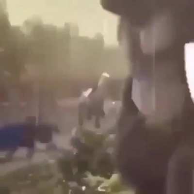 Ooga booga