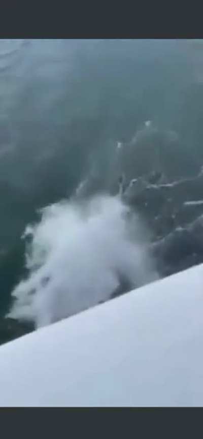 To do a cool dive