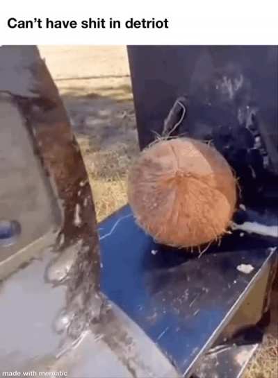 Can’t have shit in Detroit