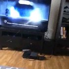 HMC while I make this ninja catch