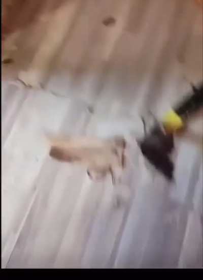 Attic repair