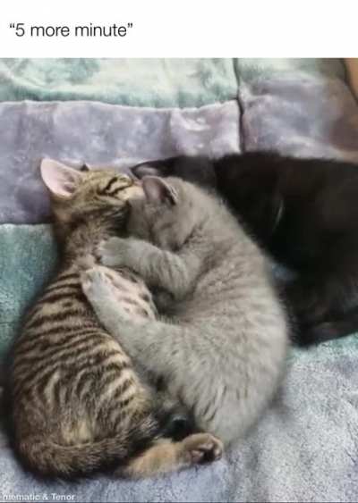 It’s so cozy