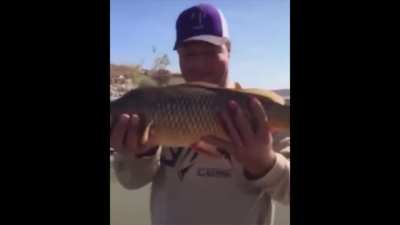 It's a Carp