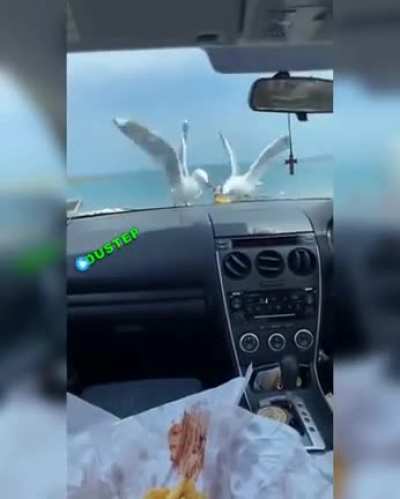 Чаёк