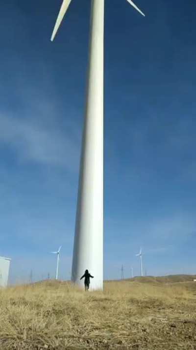 O tamainho de uma turbina eólica