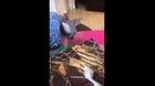 Postal 2_cat.mp4