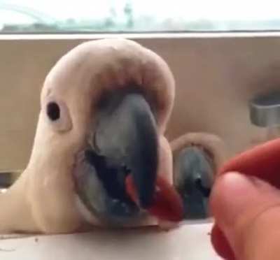 Betrayal
