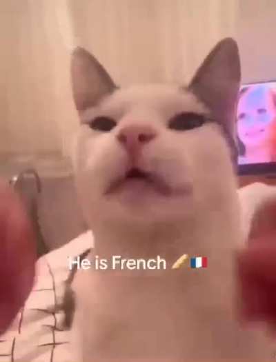 Baguette 