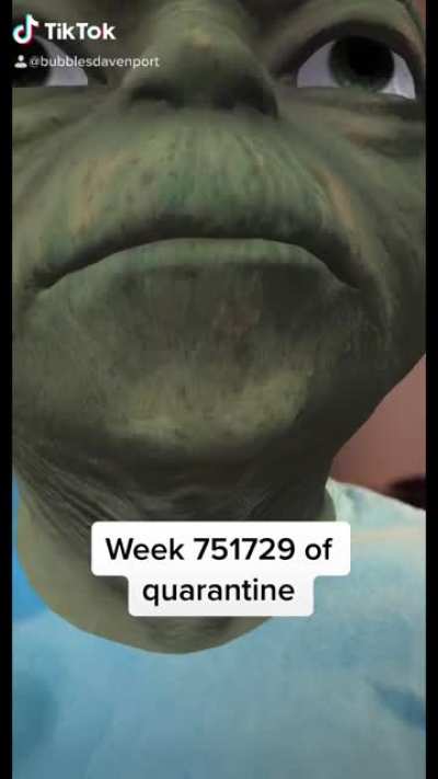 Me in Quarantine IRL.