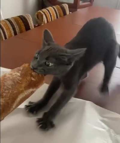 He about to take off
