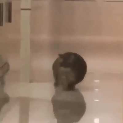 He’s on me… OH SHIT