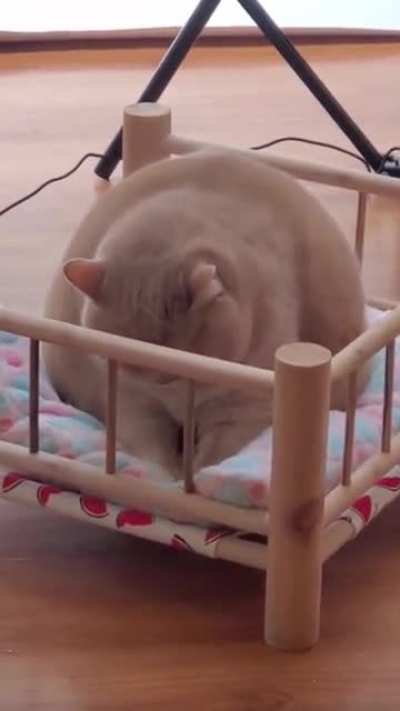 Kneading