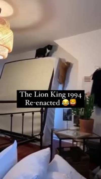 “LONG LIVE THE KING” 😹