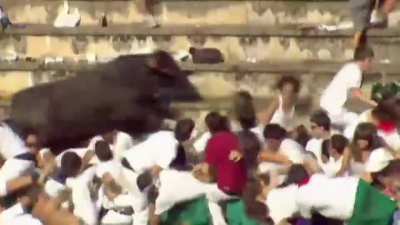 Friendly bull surprises his fans with unscheduled meet and greet