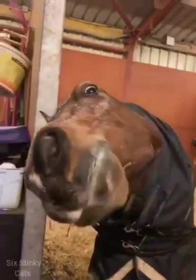 I'm gonna kiss you right now...