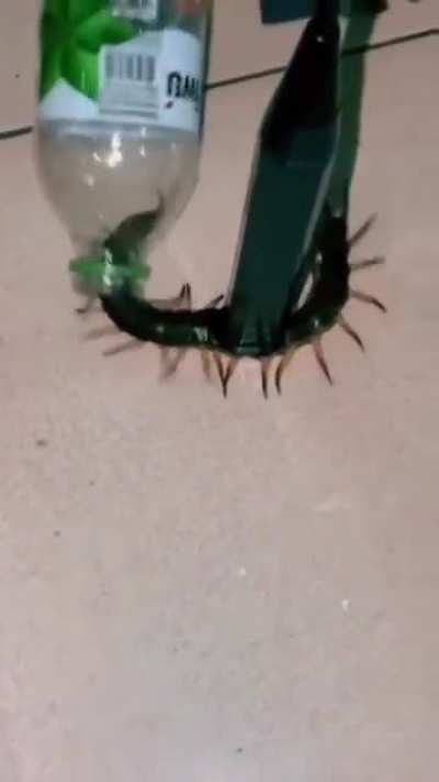 Nope! Nope! Nope!