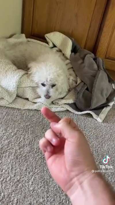 You’re about to lose finger privileges