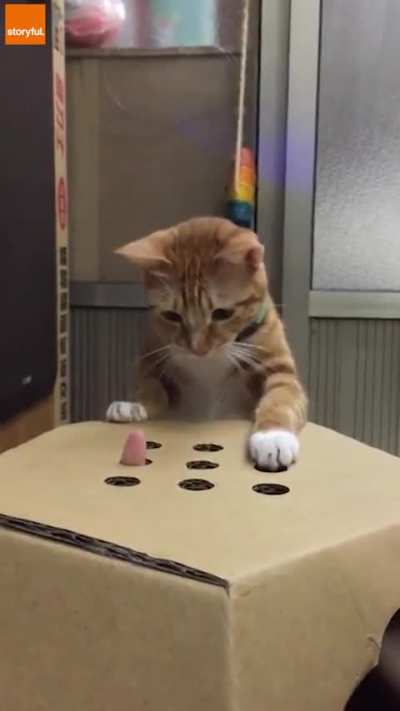 Whack A Finger