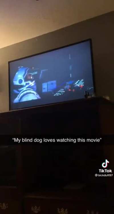 Looks like he is enjoying it
