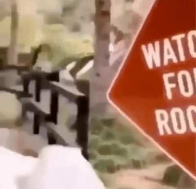 Didn’t see that