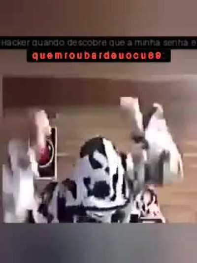 Estratégia anti hackers