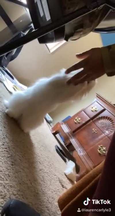 Surprise Attack