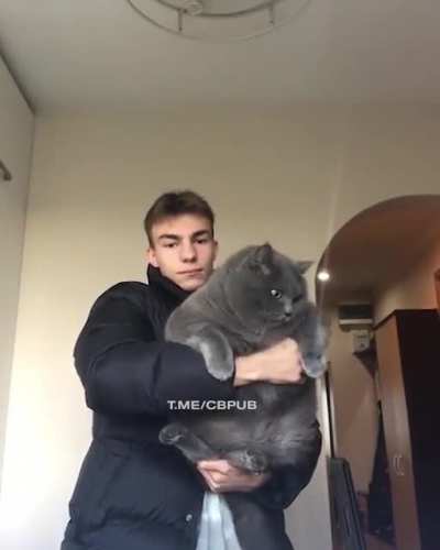 Nice kitty