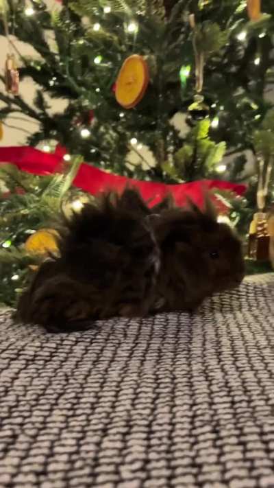 Happy Holidays