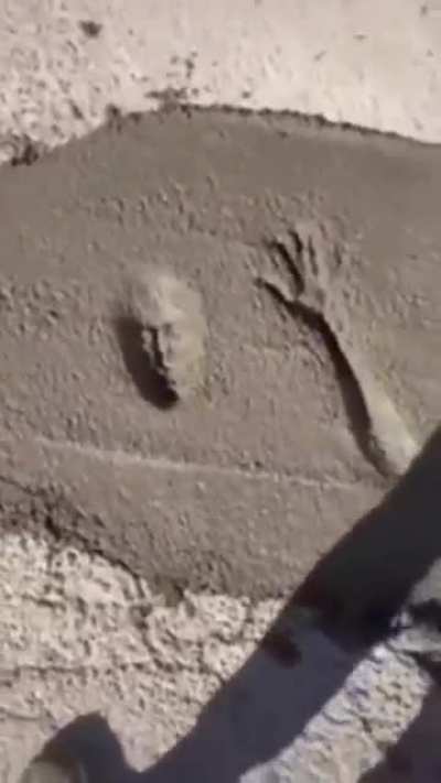 Fuckin idiot dude...